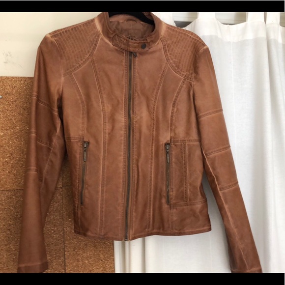 max jeans leather jacket